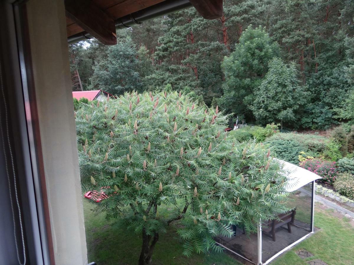 Lesna 5E Daire Sztutowo Dış mekan fotoğraf